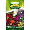 Kamelien-Balsamine Mischung | Blumensamenmischung von Produktbild-Vorschau 1