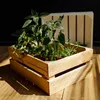 Creative Deco Natuurlijke Houten Kist, 40 x 30 x 15 cm Productafbeelding-voorbeeld 2