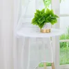 A white sheer curtain is draped over a small white table, on which sits a potted plant with green leaves and a white pot with a gold base. The background shows a window with greenery outside. Produktbild-Vorschau
