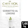 3x Carte d’Or Professional Preparato per Sorbetto al Limone Produktbild-Vorschau 3