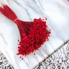 Glixia Getrocknete - (Glixia Marcela) - Rot Produktbild-Vorschau 5