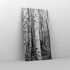 Bild auf Leinwand - Leinwandbild - Einteilig - Birken Wald Produktbild-Vorschau 4