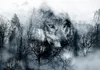 Vlies Fototapete - Mountain Predator (Black and White) Produktbild-Vorschau 5