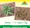Neudorff Finalsan UnkrautLos Speed 1 Liter für 180 m² - Produktbild-Vorschau 6