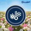 Coccolino Perfume & Care Tiare Flower & Red Fruits Produktbild-Vorschau 4