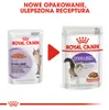 Royal Canin Feline Sterilised in Sosse, Dospělý jedinec, 85 Náhled obrázku produktu 2
