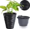 A plant in a black pot next to a dark gray insert for a planter. Voir les images du produit