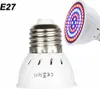 A close-up of an E27 LED grow light bulb with a white base and a circular array of blue and red LEDs visible at the top. Produktbild-Vorschau
