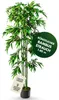 Bambou Plante Artificielle Artificiel Plastique 180cm Bois Voir les images du produit 4