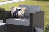 MuchoWow® Outdoor Kissen - Elefant mit Person in hellem Produktbild-Vorschau 5