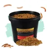 Mehlwürmer 10 Liter | Futter für Koi, Vögel, Igel, Hühner, Produktbild-Vorschau 1