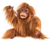 Folkmanis Affe / Baby Orang-Utan 3106 Produktbild-Vorschau 1
