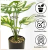 2er Set Pflanzenstützen für Monstera, transparente Produktbild-Vorschau 6