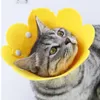 Katzen-Erholungshalsband, Druckknopfverschluss, verhindert Anteprima dell’immagine prodotto 5