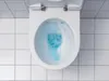 GEBERIT Wand-WC Renova Nr. 1 Renova Tiefspüler ohne Produktbild-Vorschau 18