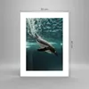 Poster - Poster ohne Rahmen - Tauchen Pinguin Gletscher - Produktbild-Vorschau 4