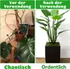 4 Stück Pflanzenstütze , Monstera Pflanzenstielstütze Produktbild-Vorschau 2
