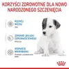 Royal Canin Babydog Milk, Milchpulver, Hund, Welpe, 400 g Produktbild-Vorschau 6