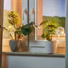 Relaxdays Kulki nawadniające ze szkła, zestaw 4 szt., wys. Podgląd zdjęcia produktu 2