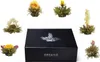 Creano 3er-Set Magnetbox ErblühTee Grüntee, Weißtee und Produktbild-Vorschau 5