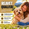 REAVET Bierhefe Pulver für Hunde & Katzen 250g – Reines Produktbild-Vorschau 7