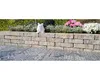 A garden wall with plants and a frog statue. Produktbild-Vorschau