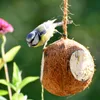 dobar Vogelfutter-Mix zum Aufhängen, gefüllte Kokosnüsse Produktbild-Vorschau 8