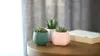 Zestaw 4 kwadratowych doniczek Cactus, kolorowe doniczki Podgląd zdjęcia produktu 7