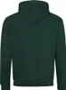 Awdis Sweat à capuche / Sweat à capuche RW165 (XL) (Vert Voir les images du produit 2