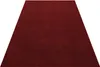 Ata tapis poils ras rectangle 240x340cm rouge Voir les images du produit 1