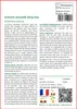 SAFLAX  - Armoise annuelle Qing Hao - 250 graines - Voir les images du produit 3