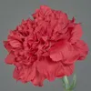 artplants.de Künstliche Nelke NIRUSHA, rot, 65cm - Kunst Produktbild-Vorschau 2