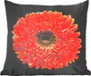 MuchoWow® Zierkissen Sofakissen Wohnzimmer Dekokissen 45x45 Produktbild-Vorschau 1