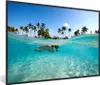 MuchoWow® MuchoWow® Gerahmtes Poster Meer - Schnorcheln - Produktbild-Vorschau 1