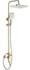 A gold shower fixture set against a white background. Anteprima dell’immagine prodotto