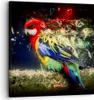 Bild auf Leinwand - Leinwandbild - Papagei Vogel Feder - Produktbild-Vorschau 1