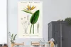MuchoWow® Poster Pflanze - Vintage - Blatt 120x180 cm - Produktbild-Vorschau 2