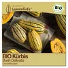Samenliebe  Kürbis Samen | Bush Delicata - samenfestes  Produktbild-Vorschau 1