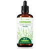 Cryptolepis-Tinktur 1:2 (100ml) Produktbild-Vorschau 1