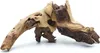 BioRoot Mopani-Wurzel für Terrarium und Aquarium S 10-20cm Produktbild-Vorschau 3