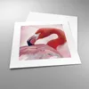 Poster - Poster ohne Rahmen - Flamingo Vogel Porträt - Produktbild-Vorschau 3