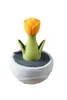 Karlie - Launch Flower 10X10X21Cm, Farblich Sortiert Produktbild-Vorschau 2