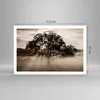 Poster - Poster ohne Rahmen - Baum Feld Natur - 91,5x61 cm Produktbild-Vorschau 4