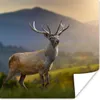 MuchoWow® Poster Hirsche - Berg - Gras - Sonnenuntergang - Produktbild-Vorschau 1