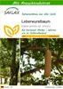 SAFLAX - Leberwurstbaum - 10 Samen - Mit keimfreiem Produktbild-Vorschau 1