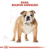 Royal Canin Bulldog Adult 12kg Anteprima dell’immagine prodotto 6