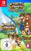 Harvest Moon The Lost Valley & Skytree Village (Nintendo Produktbild-Vorschau 2