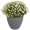 Pflanztopf grau Steinoptik Blumentopf Pflanzkübel Produktbild-Vorschau 2