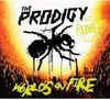Mondi in fiamme (Cd+Dvd) Anteprima dell’immagine prodotto 2