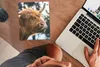 MuchoWow® Mauspad Mousepad Schottischer Highlander - Nase - Produktbild-Vorschau 3